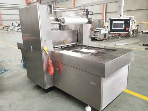 上海雙室擺蓋真空包裝機(jī)聯(lián)系電話 質(zhì)量放心可靠，優(yōu)選諸城廣元機(jī)械設(shè)備